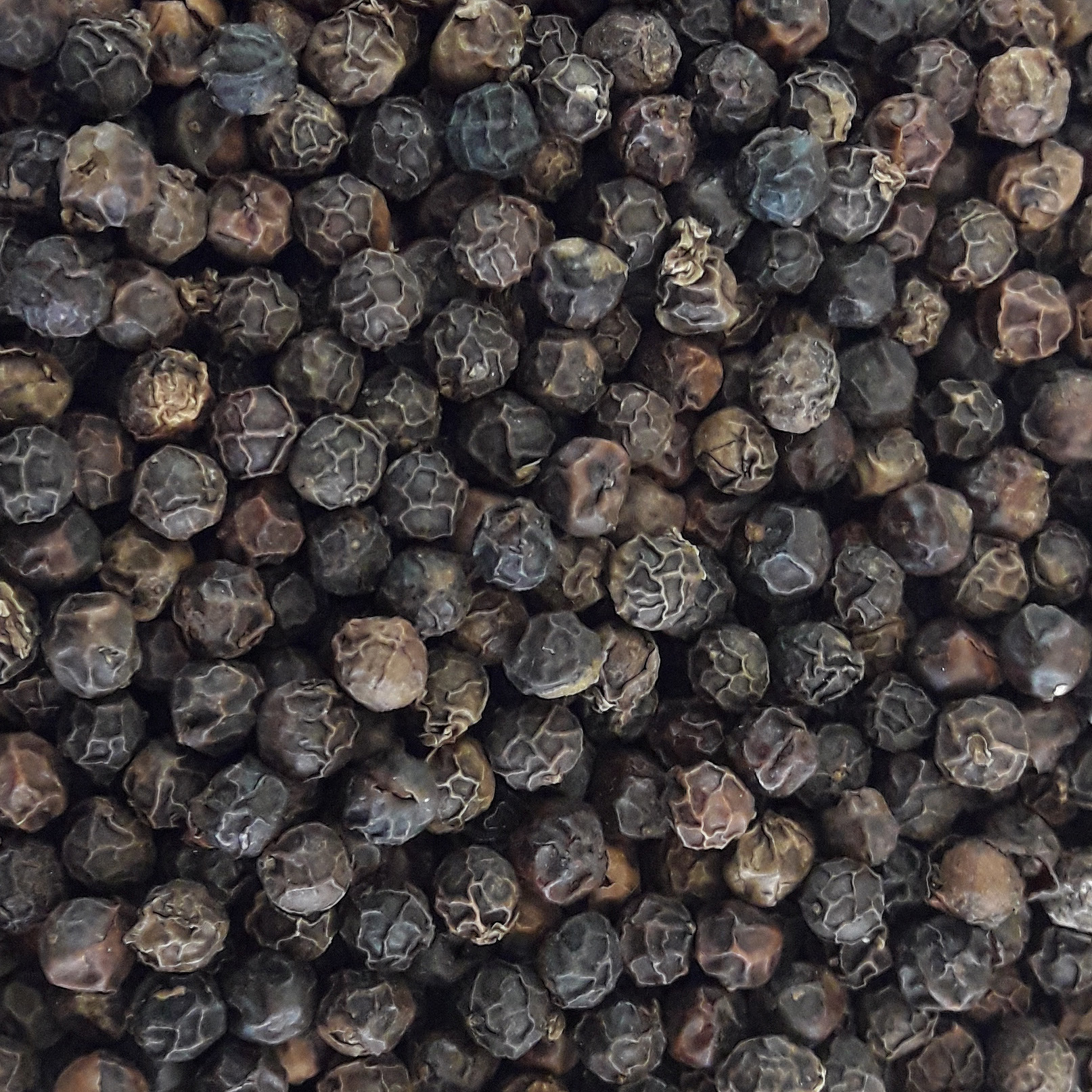 PIMIENTA NEGRA EN GRANO 120g